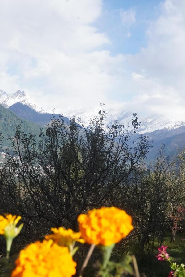 Himalayan Woods Cottage Manāli Екстериор снимка
